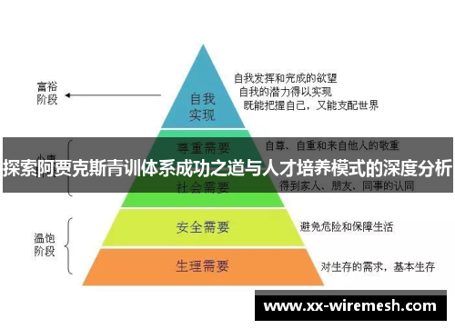 探索阿贾克斯青训体系成功之道与人才培养模式的深度分析
