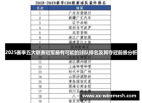 2025赛季五大联赛冠军最有可能的球队排名及其夺冠前景分析