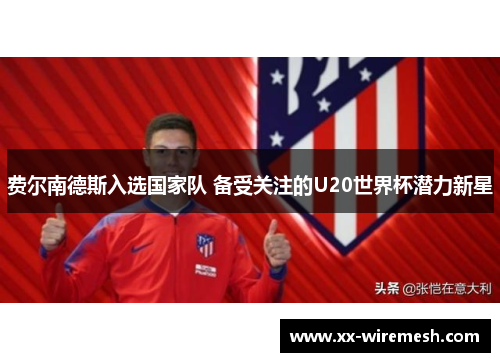 费尔南德斯入选国家队 备受关注的U20世界杯潜力新星