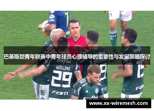 巴基斯坦青年联赛中青年球员心理辅导的重要性与发展策略探讨