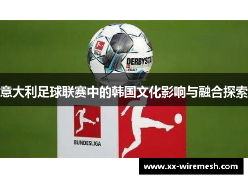 意大利足球联赛中的韩国文化影响与融合探索